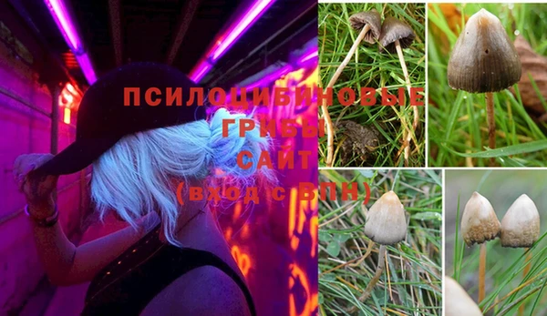 экстази Верея